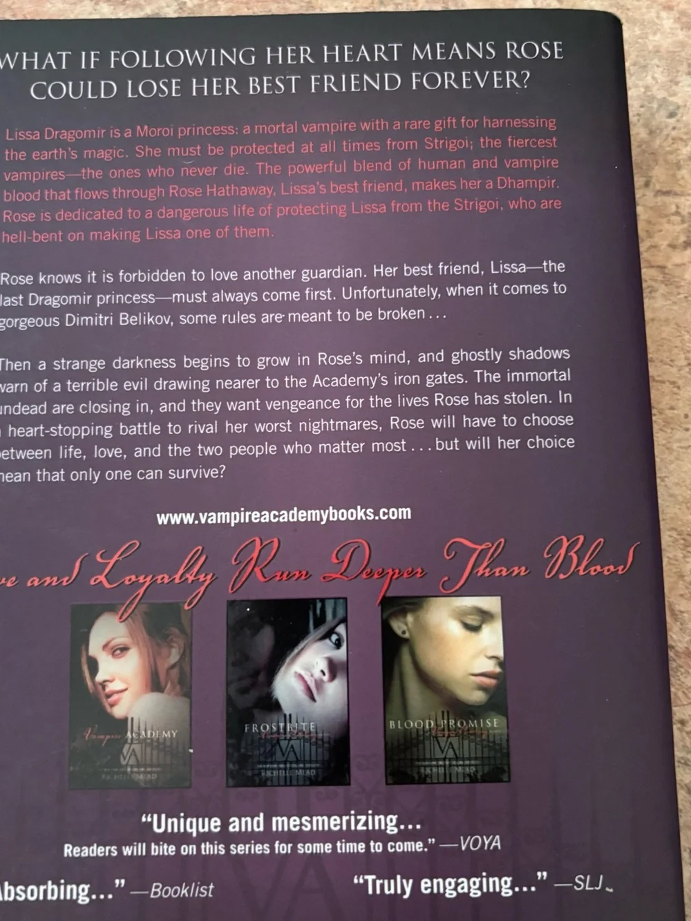 Vampire Academy Paperback Book Bundle - Richelle Mead